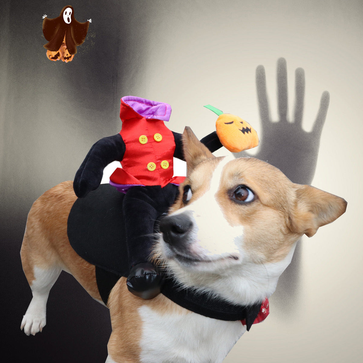 Halloween Pet